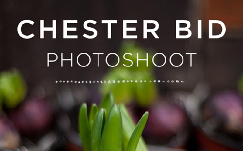Chester BID photoshoot